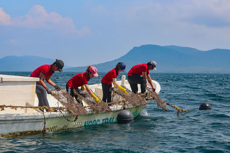 ngọc trai Phú Quốc